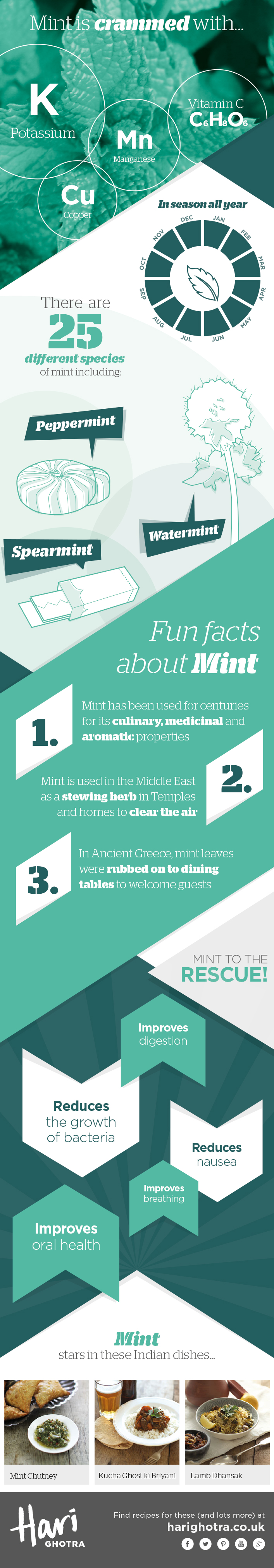 Mint Infographic showing the health benefits of Mint