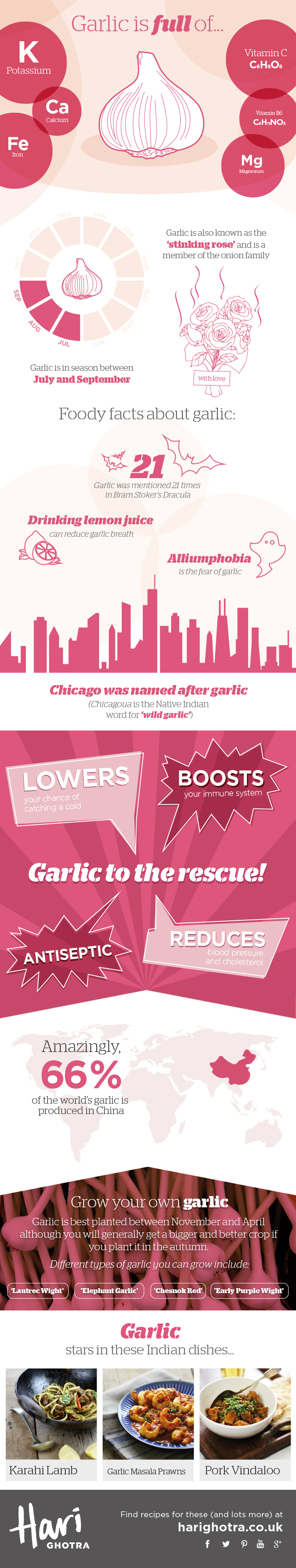 Garlic Infographic showing the health benefits of Garlic