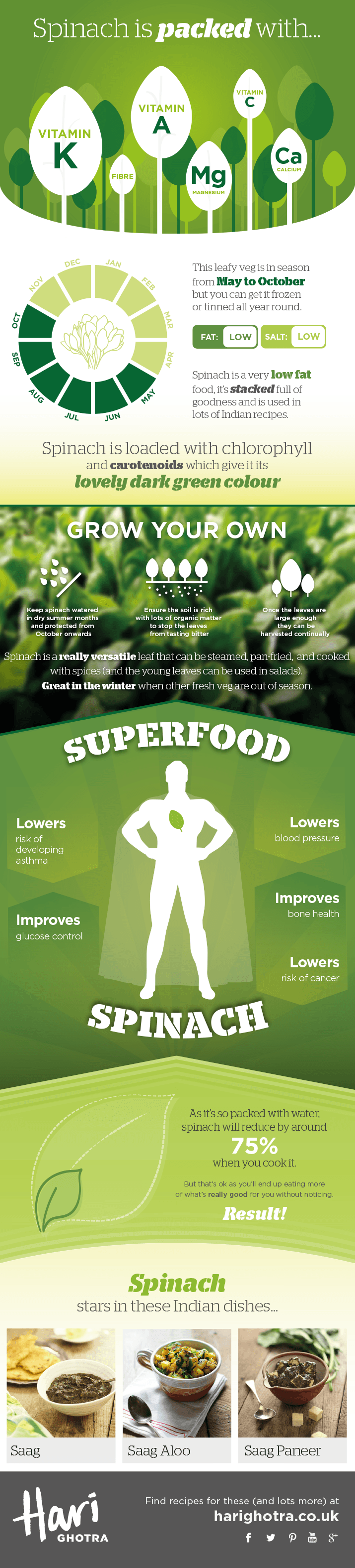 Spinach Infographic showing the health benefits of Spinach