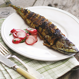 Mackerel Fry
