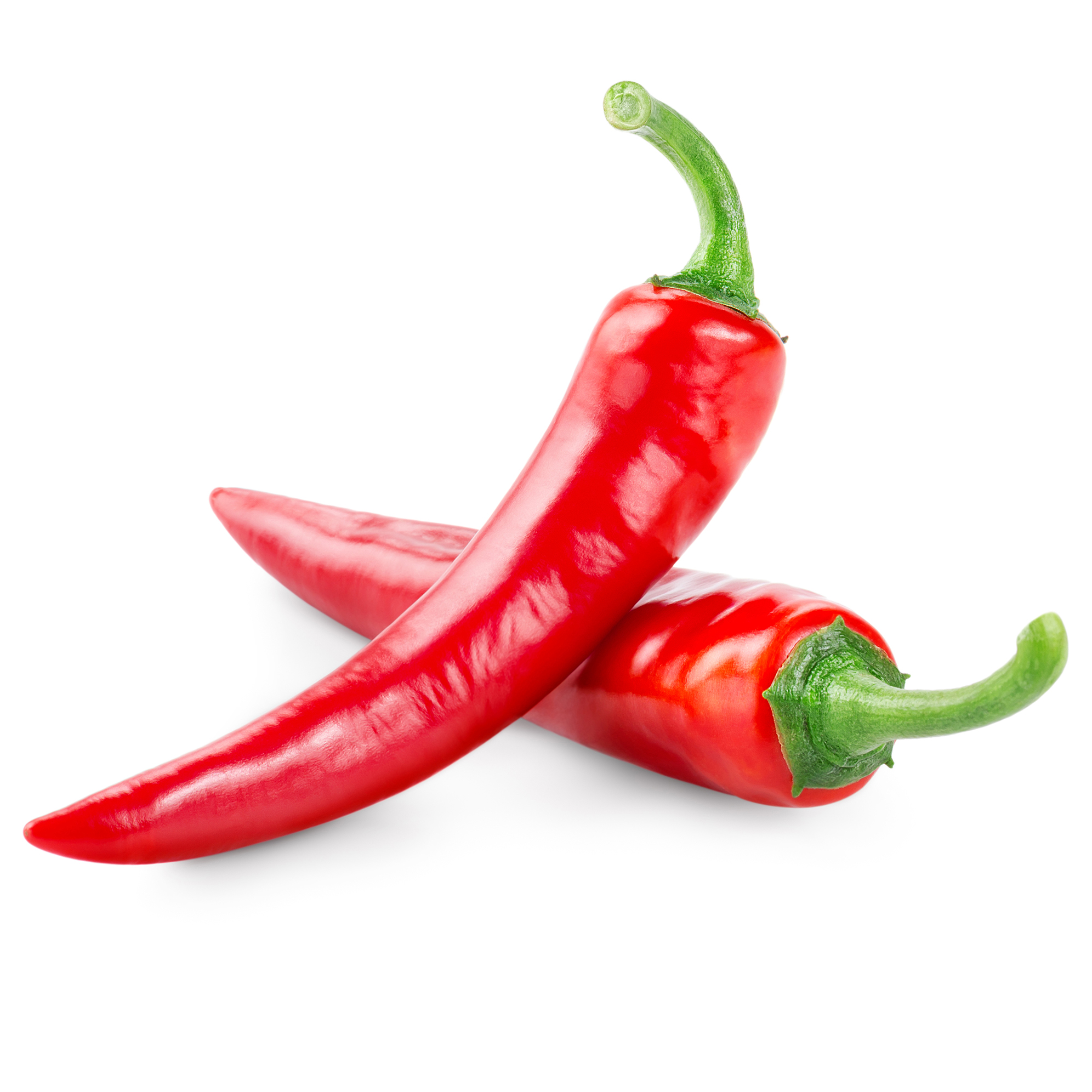 Welcome indianfoodxpress blogspot 