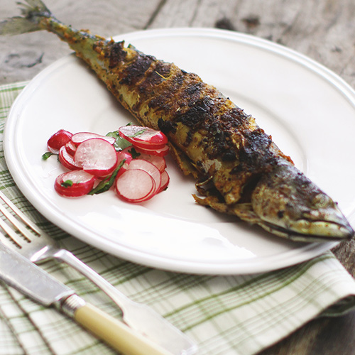 mackerel fry blog