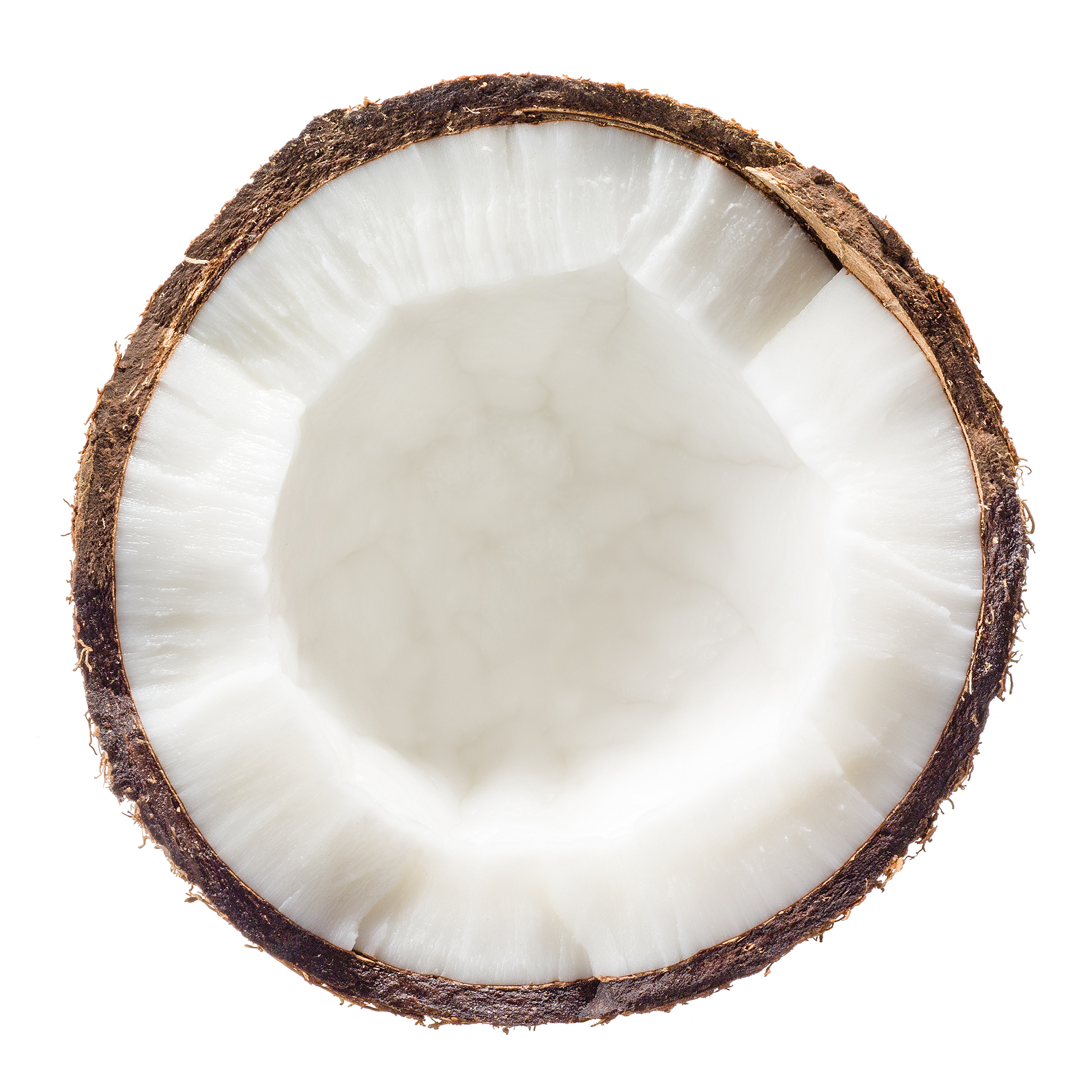 Coconut Flesh