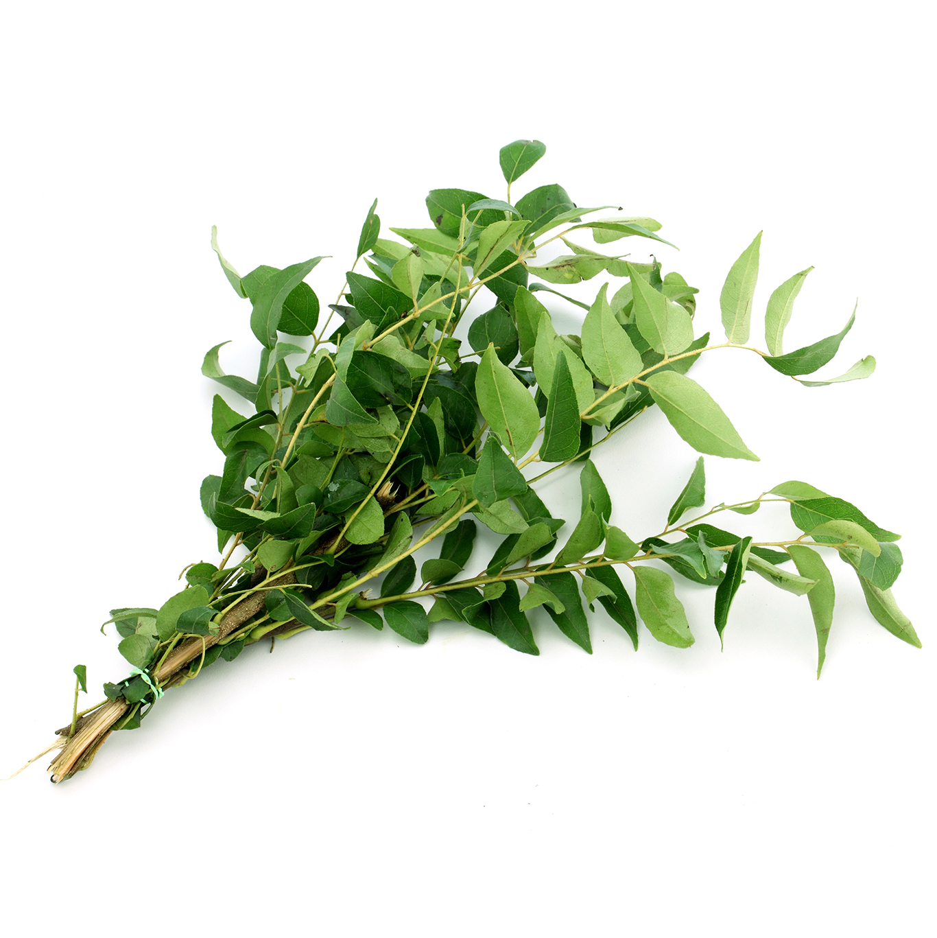 Curry Leaves (Karipatha)