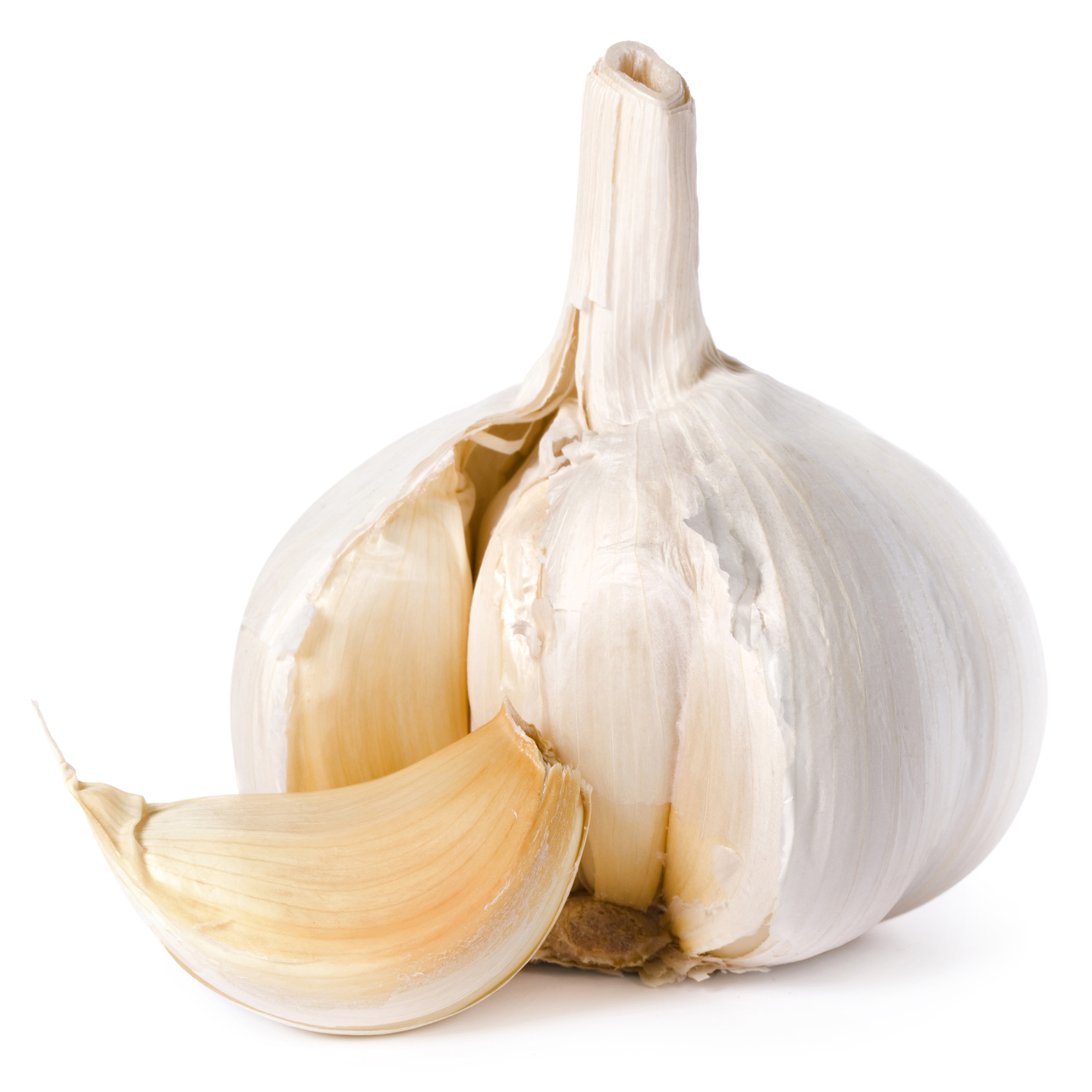 Garlic (Lasan)