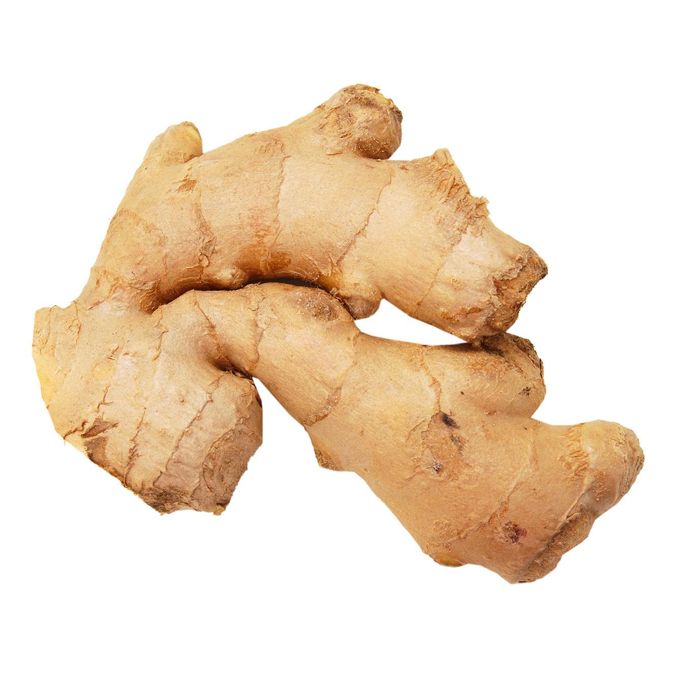 Ginger (Athrak)