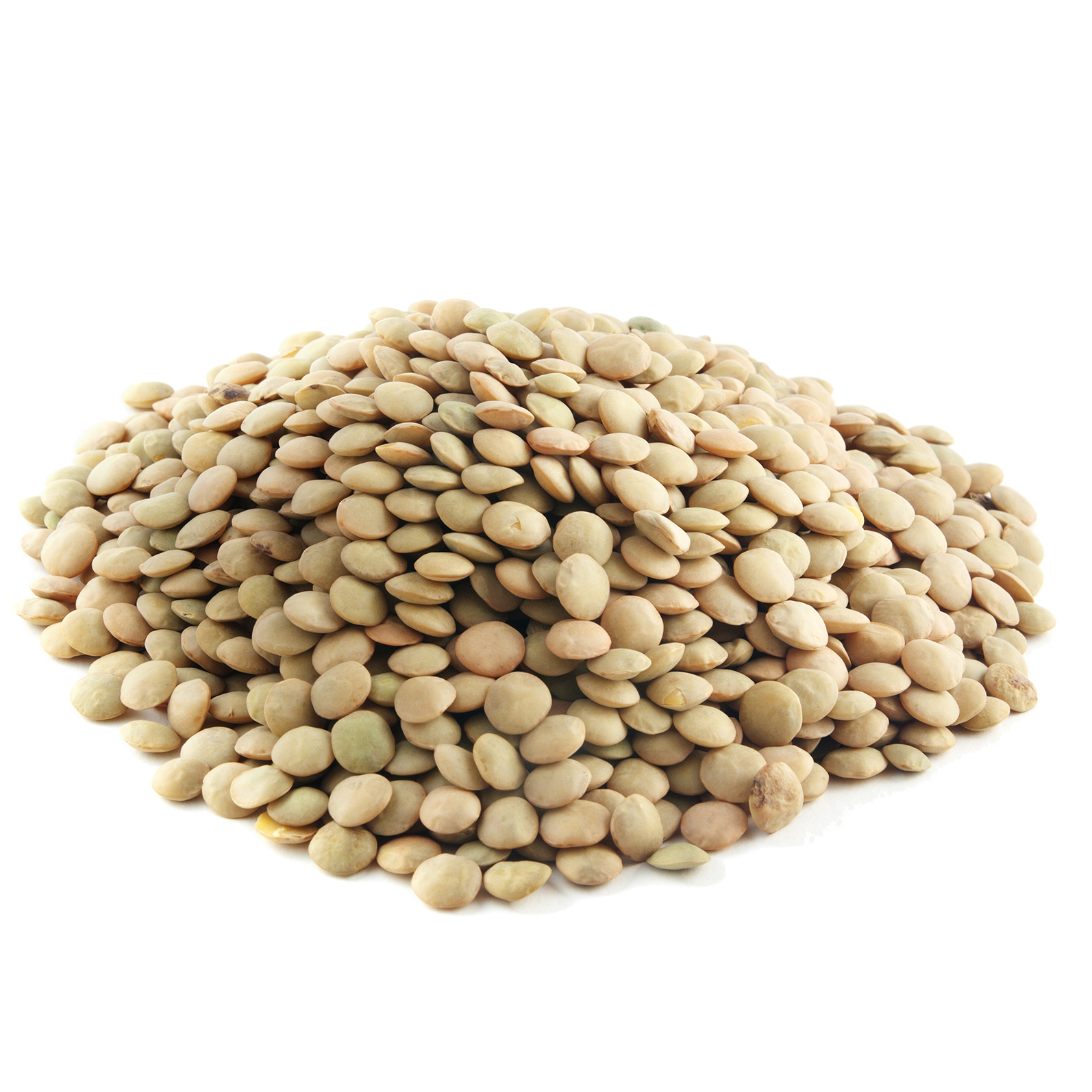 Green Lentils