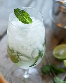 Indian Drink Recipes