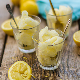 Lemon Sorbet