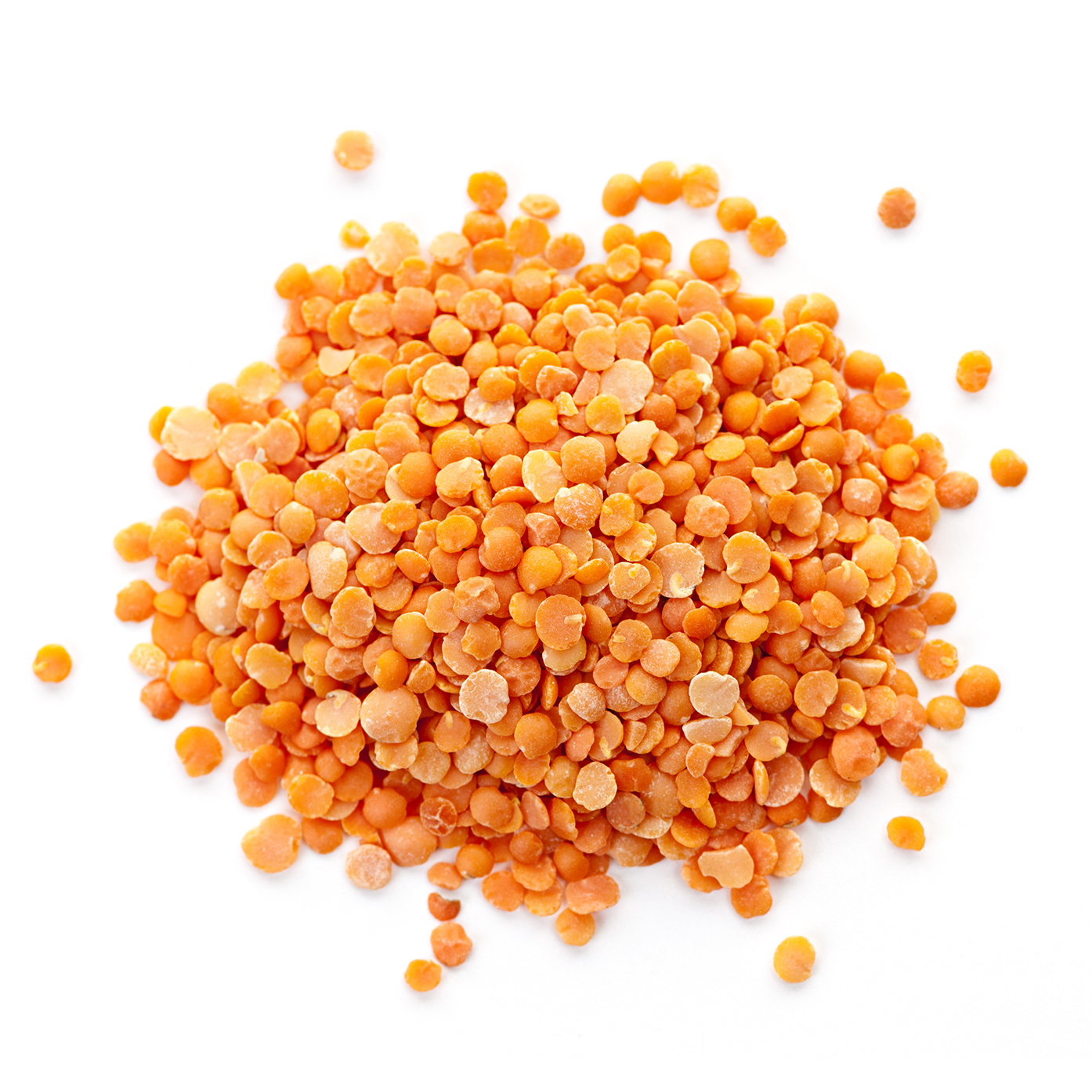 Red Lentils